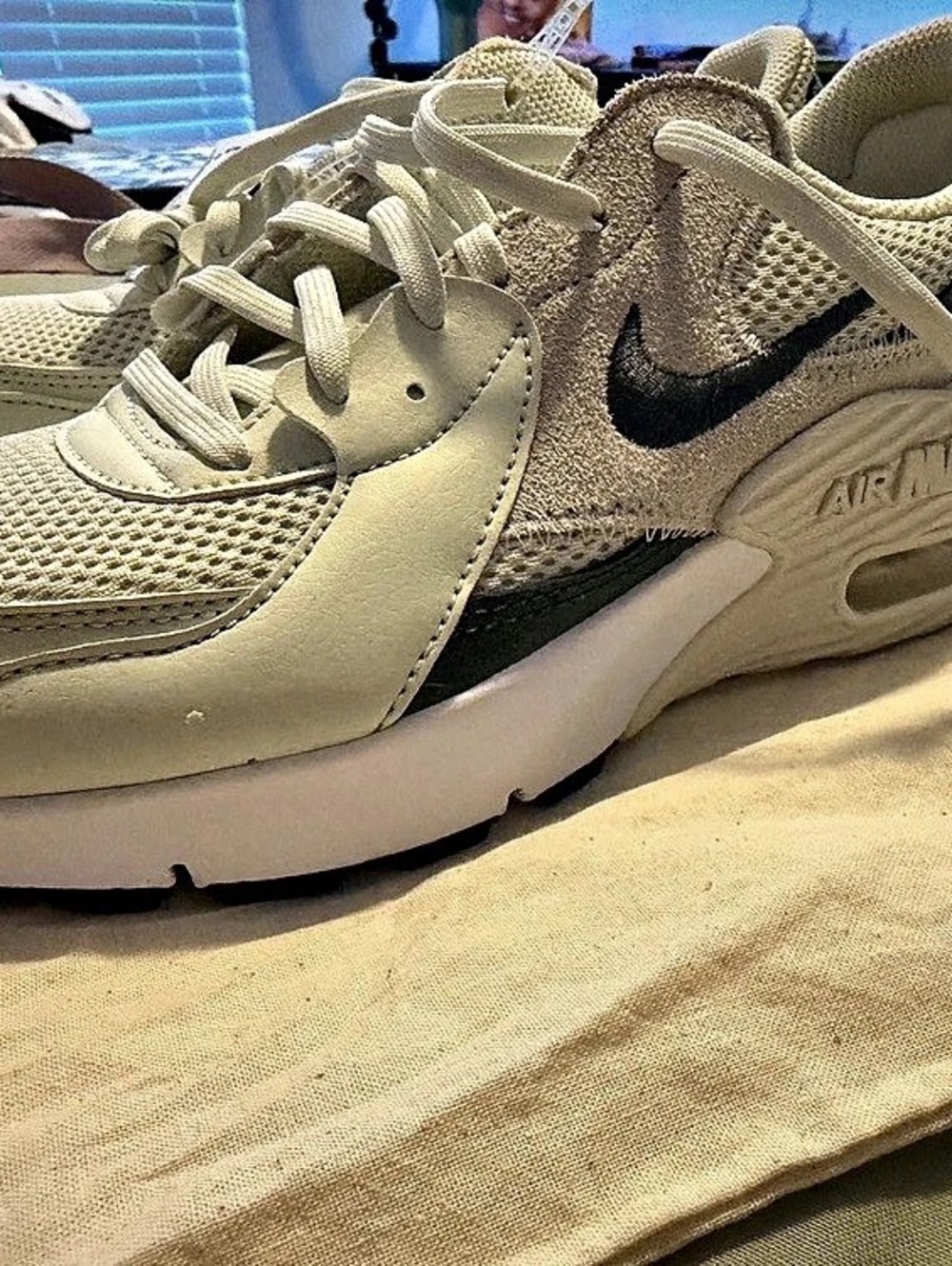 NWT- Nike Air Max
